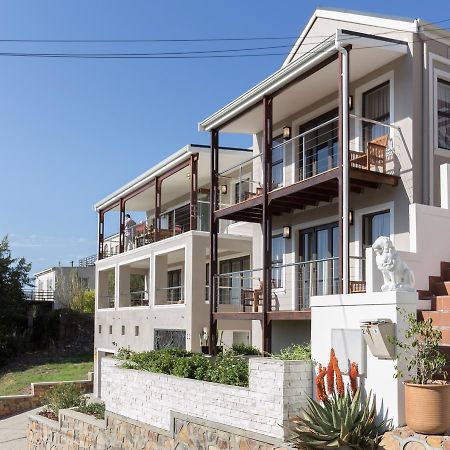 Protea Point Bed & Breakfast Cape Town Dış mekan fotoğraf