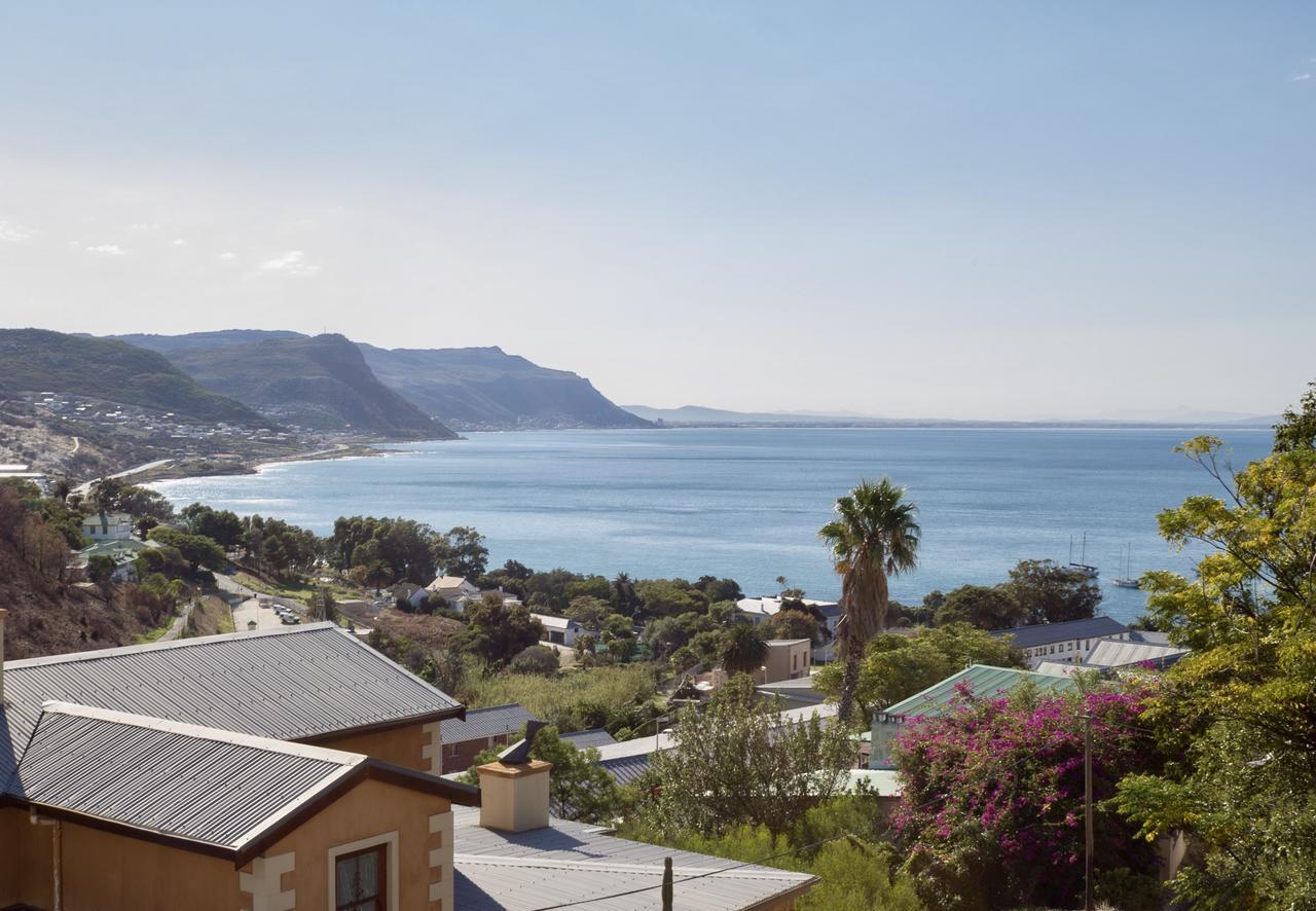 Protea Point Bed & Breakfast Cape Town Dış mekan fotoğraf