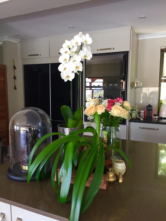 Protea Point Bed & Breakfast Cape Town Dış mekan fotoğraf