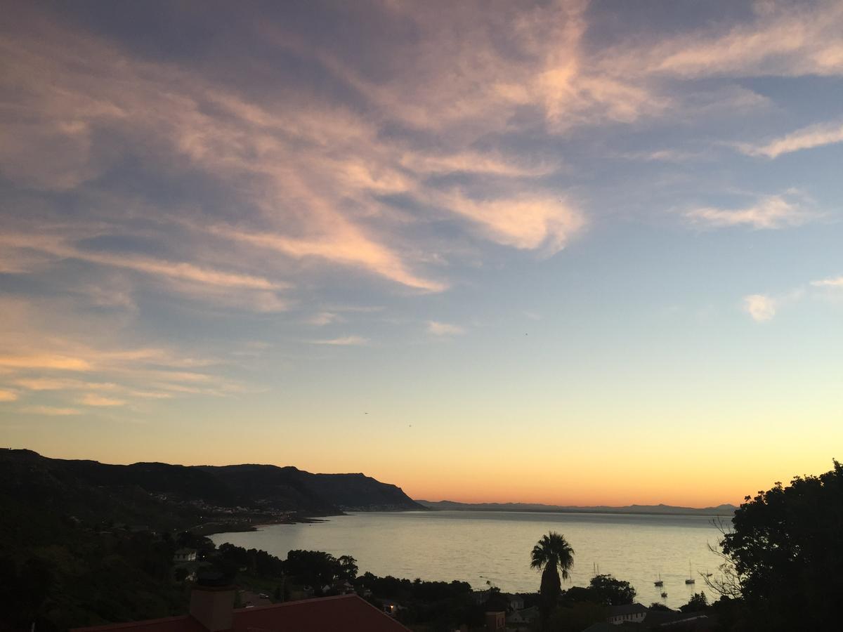 Protea Point Bed & Breakfast Cape Town Dış mekan fotoğraf