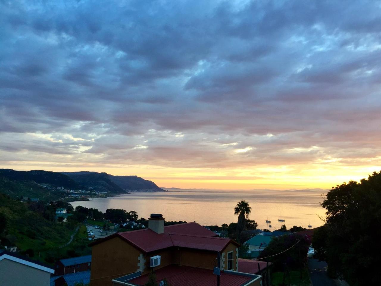 Protea Point Bed & Breakfast Cape Town Dış mekan fotoğraf